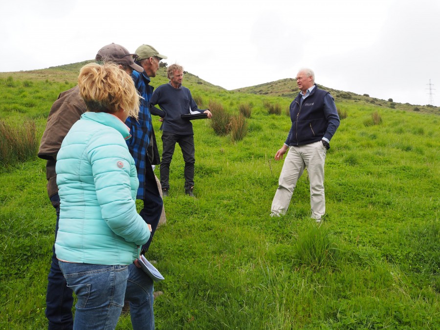 Capturing the power of legumes focus of programme