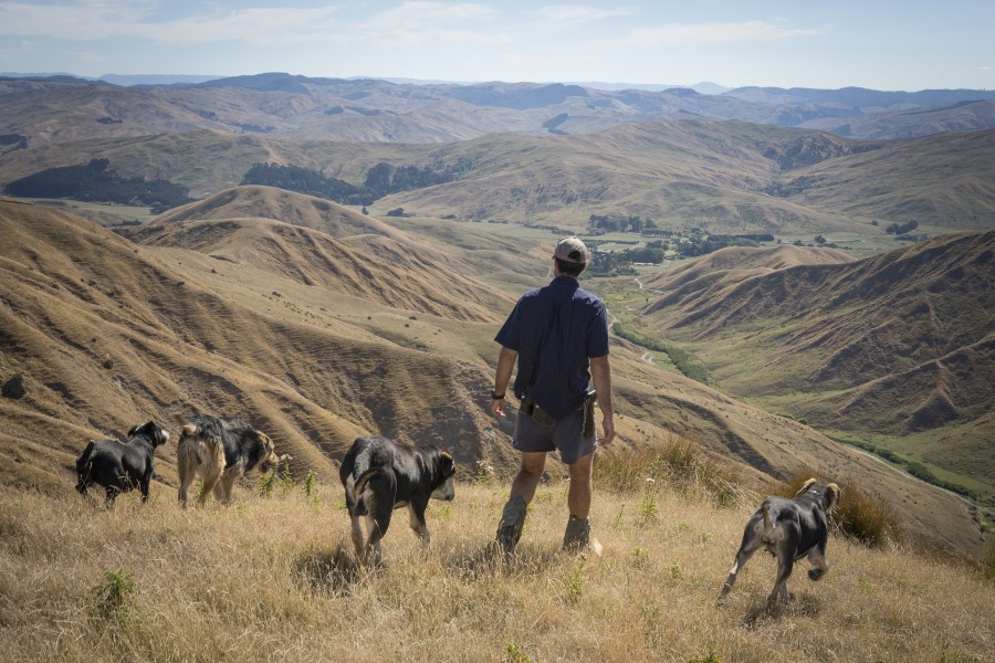 #6: The future of farming - Farmer vision for 2030