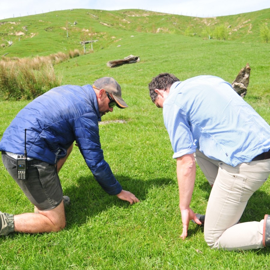 Soil and pasture testing protocols