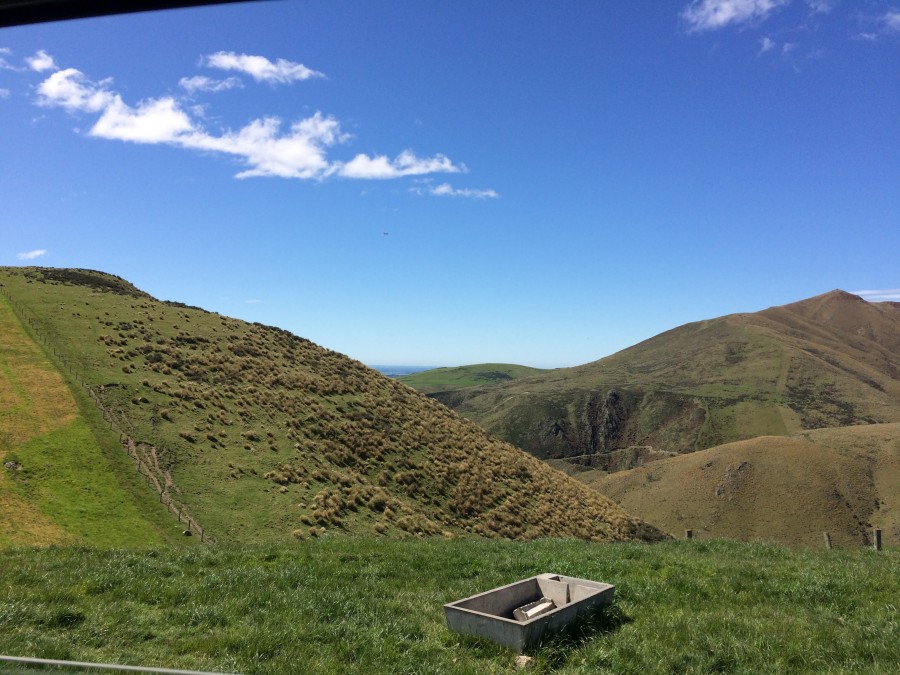 Explaining pasture water use