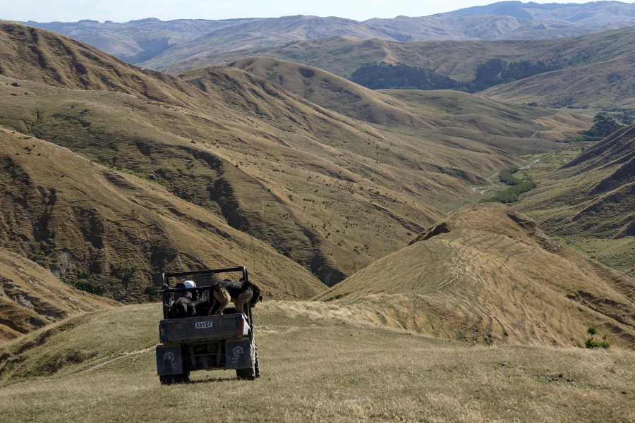 Tools to support farming resilience