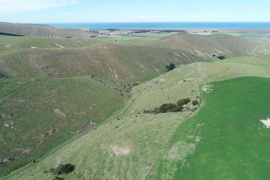 New national AgYields forage database launched